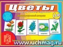 Игра "Цветы. Лесные, луговые, садовые" — интернет-магазин УчМаг