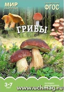 Мир в картинках. Грибы. Наглядно-дидактическое пособие для детей 3-7 лет — интернет-магазин УчМаг