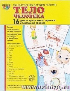 Тело человека. Демонстрационные картинки — интернет-магазин УчМаг