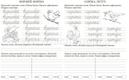 Орфографические прописи: 7-8 лет — интернет-магазин УчМаг