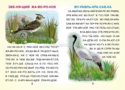 Читалочки-познавалочки: большие буквы — интернет-магазин УчМаг