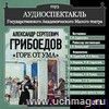 Аудиокнига 