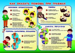 Комплект плакатов "Первая медицинская помощь": 4 плаката формата А3 с методическим сопровождением — интернет-магазин УчМаг