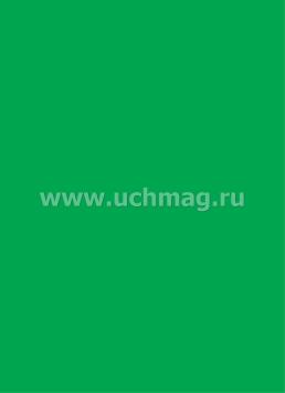 Цветная бумага: 6 листов. 12 цветов — интернет-магазин УчМаг