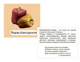 Овощи с грядки: 12 цветных карточек. Стихи и загадки — интернет-магазин УчМаг