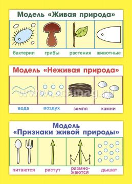 Развитие экологической культуры детей 5-8 лет. Комплект "Мир животных". Образовательная область "Познавательное развитие" — интернет-магазин УчМаг