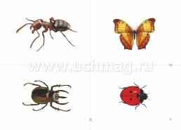 Комплексный диагностический инструментарий. Мониторинг экологической деятельности детей 4-5 лет. Игровые карты с методическим описанием, карта индивидуального — интернет-магазин УчМаг