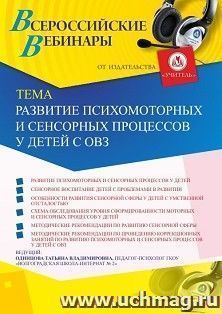 Оформление сертификата участника вебинара «Развитие психомоторных и сенсорных процессов у детей с ОВЗ» (объем 2 ч.) — интернет-магазин УчМаг